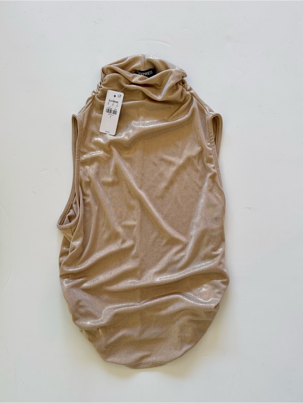 Express Shimmery Champagne Synched Blouse